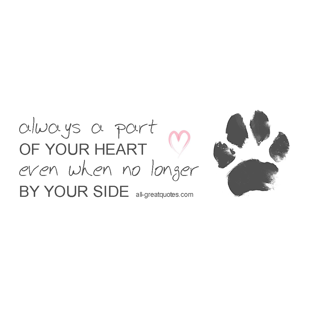 Pet grief sympathy card with quote.