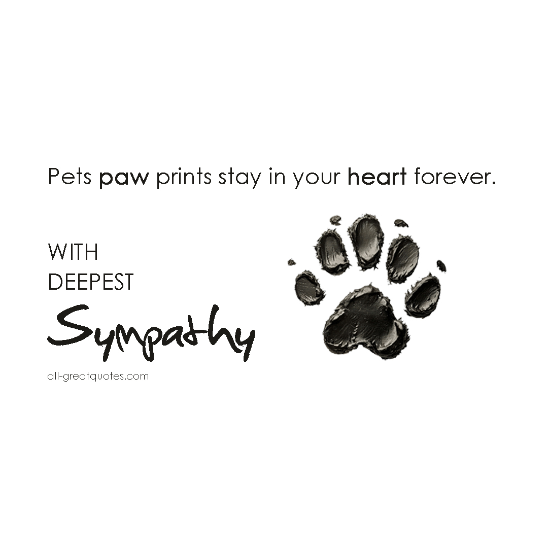 Pet sympathy quote saying pets paw prints stay in your heart.